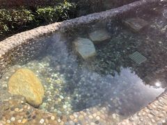 -天目湖涵田半山温泉