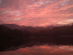 -西湖外事游船(花港观鱼码头)