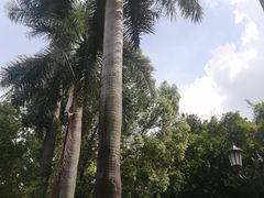 -火车头法国西餐厅