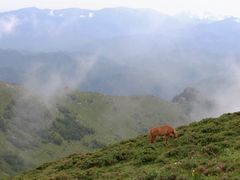 -灵山