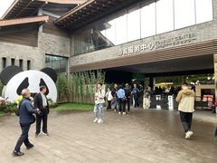 -都江堰中华大熊猫苑