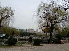 -咸阳湖景区-古渡公园