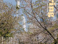 -西北湖绿化广场