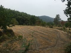 -塔川景区