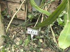-郑州植物园
