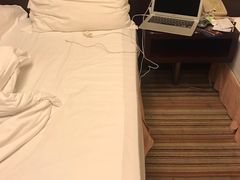 -华雅花园大酒店