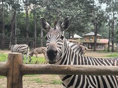 -大连森林动物园