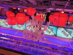 -山河屯铁锅炖鲜鹅·东北菜(开发区一店)