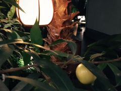 -汤山翠谷生态餐厅