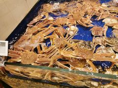 -高佳庄·舟山海鲜(海景旗舰店)