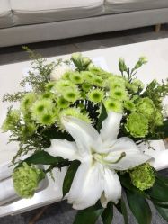 -HEYAN长风荷妍专业脱毛美肤

