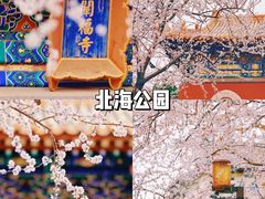 -北海公园