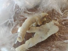 -阿二烤鸡(山塘街店)