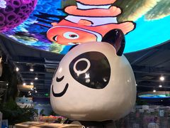 -龟与熊猫宠物公园(南坪店)