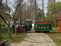 -共青国家森林公园-售票处