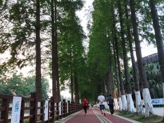 -蜀绣公园