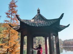 -四明山国家森林公园