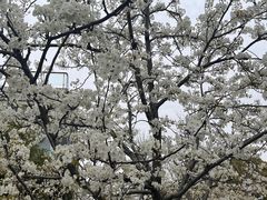 -白塘生态植物园