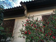 -石屏会馆