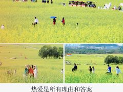 -光明小镇欢乐田园