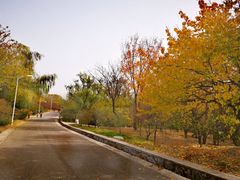 -北京鹫峰国家森林公园