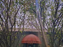 -万柳高尔夫俱乐部