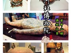-河北博物院