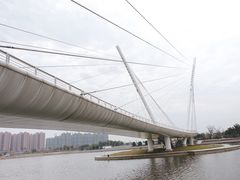 -映月湖中央公园