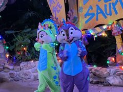 -奥兰多迪士尼动物王国乐园