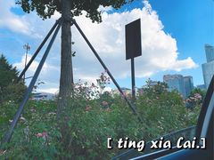 -杭州来福士中心