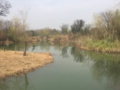 -梁鸿国家湿地公园
