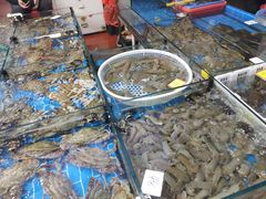 -船奇蒸汽海鲜·闽菜(八市海鲜总店)