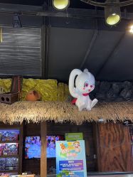 -卡通尼·Safari非洲探索乐园·生日会(金桥国际商业广场店)