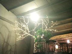 -土蚝·高压锅生蚝(百姓美食街店)