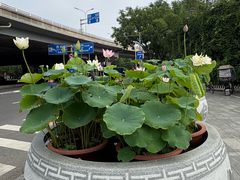 -丰台花园