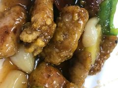 -新陶陶酒家