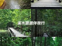 -桤木河湿地公园