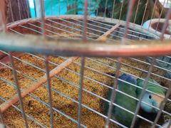 -红色根据地文化主题酒店(太湖街店)