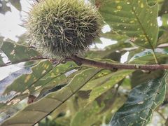 -溪口-滕头旅游景区