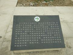-南湖国家城市湿地公园