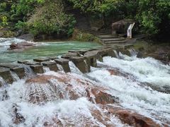 -广州白江湖森林公园