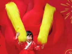 -正佳雨林生态植物园