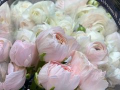 -溪岸路花鸟市场