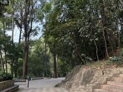 -南岗山公园