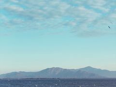 -深圳湾公园(南山区)