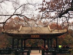 -灵谷景区