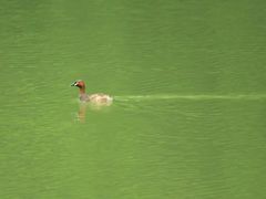 -昆山城市生态森林公园