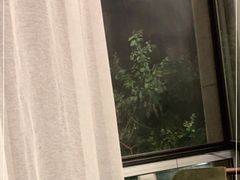 -子霖南山鲜虾面(南山总店)