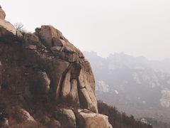 -崂山巨峰游览区