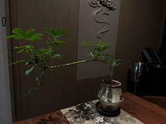 -许家菜(DT51店)